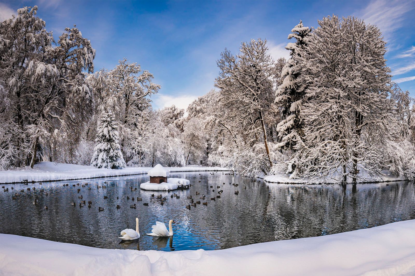 Naturerlebnis: Schlosspark Donaueschingen, Donaueschingen